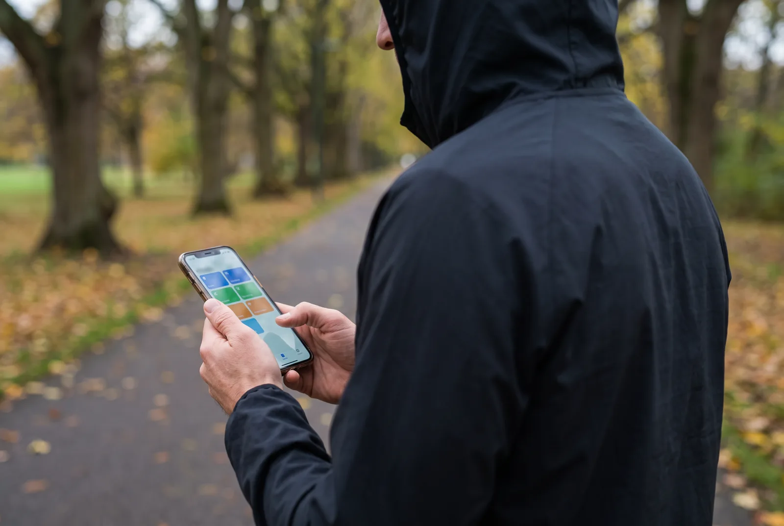 A runner checking a weekly training plan on a phone on a tree-lined path